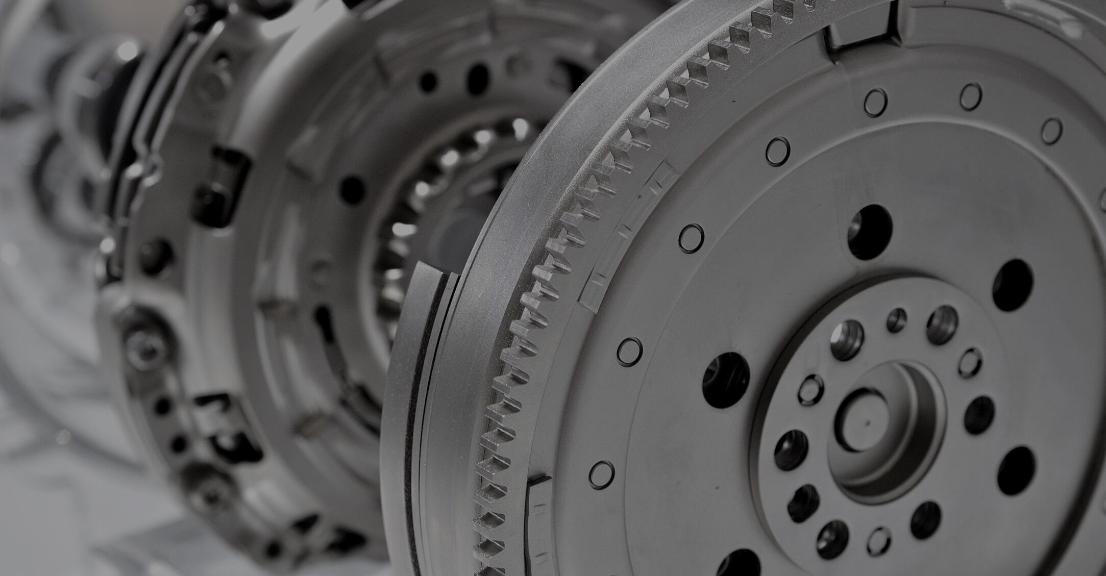 © loraks - stock.adobe.com